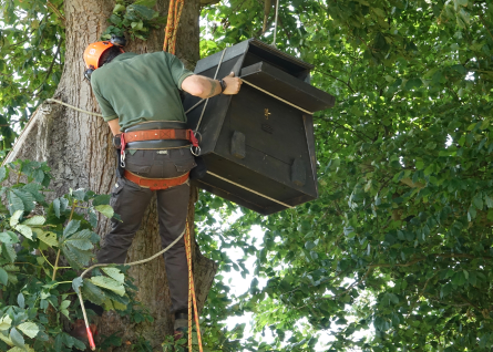 Owl Box installation